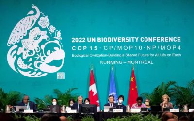 Accord de la COP15: «C’est une très bonne nouvelle pour la planète entière»